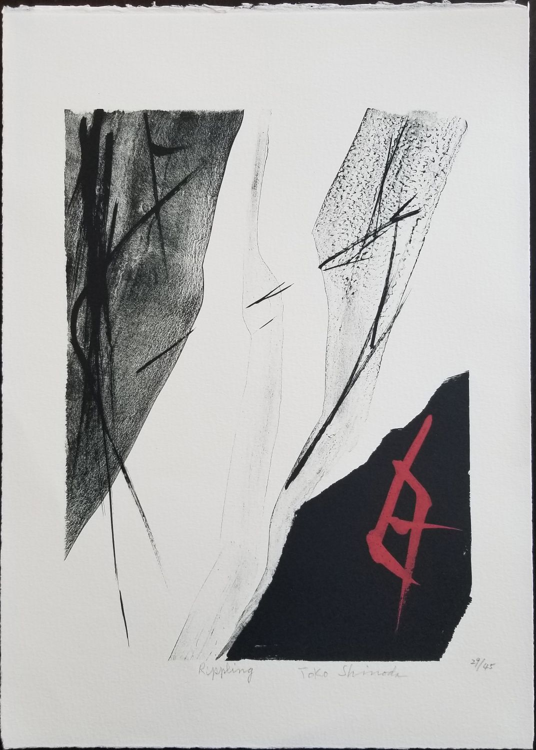 Rippling by Toko Shinoda